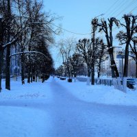 Чебоксары. Аллея улицы Энгельса зимой. :: Пётр Чернега