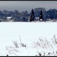 Зима :: Ольга Довженко