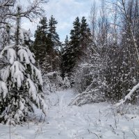 Четвертый день нового года 2 :: Андрей Дворников