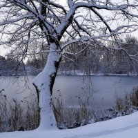 Парк Южный, Калининград :: Рита Симонова