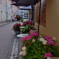 Летним вечером .. :: Татьян@ Ивановна