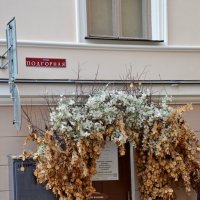 ВЫБОРГ. :: Виктор Осипчук