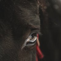 Гурзуф :: Кристина Щукина