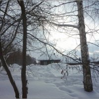 Снежно :: Валентина Надсон