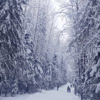 На лыжне :: Виктор На лыжне :: Виктор