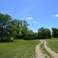 Дороги в степи. :: Виктор 