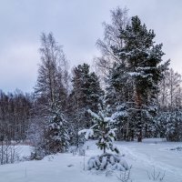 Первые дни нового года 11 :: Андрей Дворников