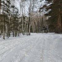 Зима . :: Мила Бовкун