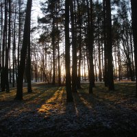 Парк Александрия :: Наталья Герасимова