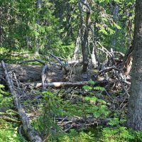 Завалы. :: ВикТор Быстров