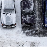 Характеры и знаки :: Сергей Премонишын