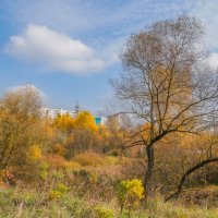 Московская осень... :: Владимир Жданов