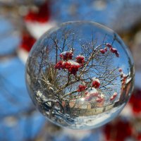 Окутал землю первый снег :: Римма Волченко