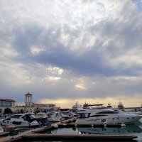 Порт Сочи :: Tata Wolf