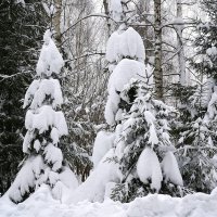 Зима за городом :: Татьяна Тюменка