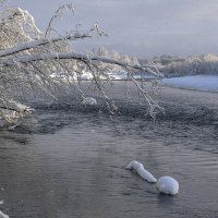 ... :: Жора Житников