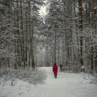 С родника :: Сергей Цветков