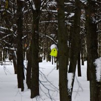 Яркий акцент. :: Наталья Вязигина