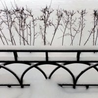 *** :: Валентина Береснева