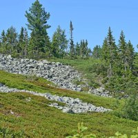 Склоны горы. :: ВикТор Быстров