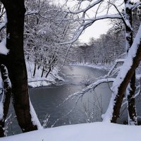 Парк Южный, Калининград :: Рита Симонова Парк Южный, Калининград :: Рита Симонова