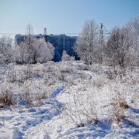 Куда ведёшь , дорожка .... :: Анатолий Колосов Куда ведёшь , дорожка .... :: Анатолий Колосов