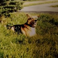 Член семьи :: Надежда 