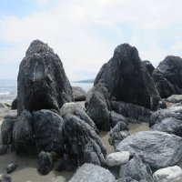 Словно старейшины окаменевшие :: ИРЭН@ .