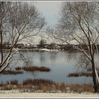 *** :: Aleksandr Gal *** :: Aleksandr Gal