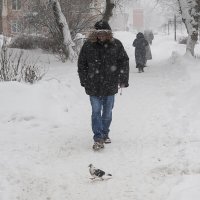 Городские картинки :: Владимир Носов