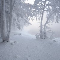 У морозной реки :: Марина Фомина.