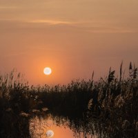 Утро. :: Александр. AVG100 --- Утро. :: Александр. AVG100 ---