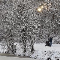 зимнее настроение :: Олег Лукьянов