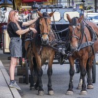 *** :: Александр 