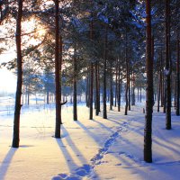 Зима :: Евгений Корьевщиков