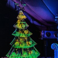 В лесу родилась ёлочка.... :: Ирина Соловьёва