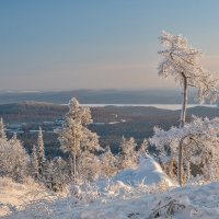 ****** :: Вячеслав Овчинников