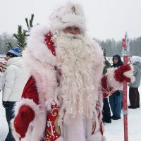 Дед Мороз приглашает всех на стадион "Алмаз" болеть за чемпионов. :: Galina Solovova