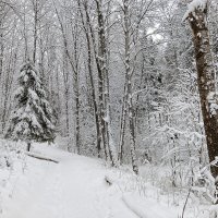 пейзаж :: Владимир пейзаж :: Владимир