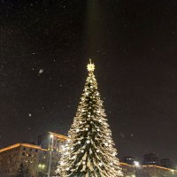 новогодний Санкт-Петербург :: Анастасия Софронова