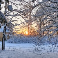 Низкое солнце зимы :: dli1953 