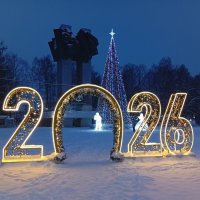 Главная елка на площади 200- летия г. Коврова :: Наталья ***