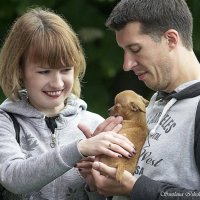 Фото с выставки. :: Светлана Ищенко