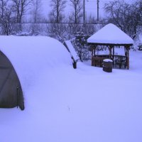 Мой сад в январе :: Людмила Смородинская