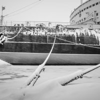 Красин :: Олег Загорулько