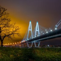 Мосты :: Андрей C