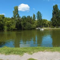 Пейзажи  в парке  Гагарина :: Валентин Семчишин