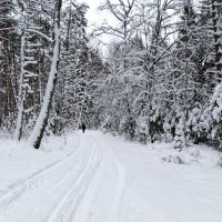 Про смоленскую зиму. :: Милешкин Владимир Алексеевич 