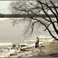 Помочь ближнему :: Aleksandr Gal