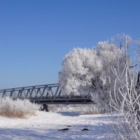 У моста :: Наталия Григорьева